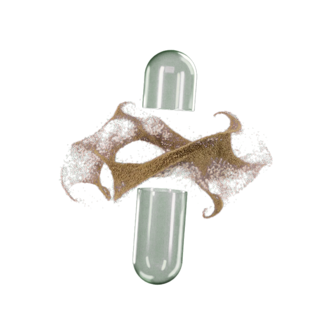 A translucent jade capsule opening around fine botanical powder