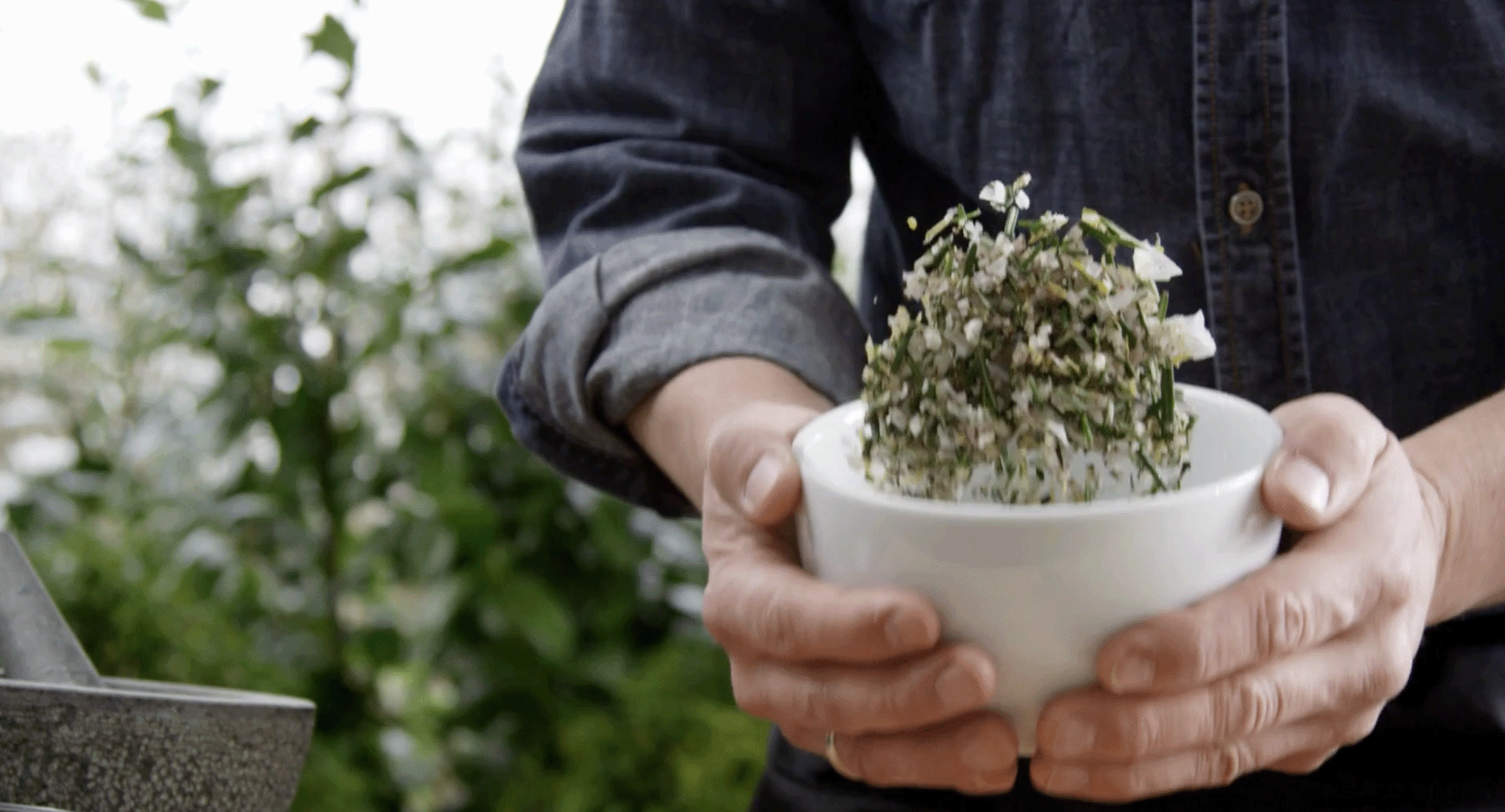 Load video: Soultrum: Herbs for the Soul
